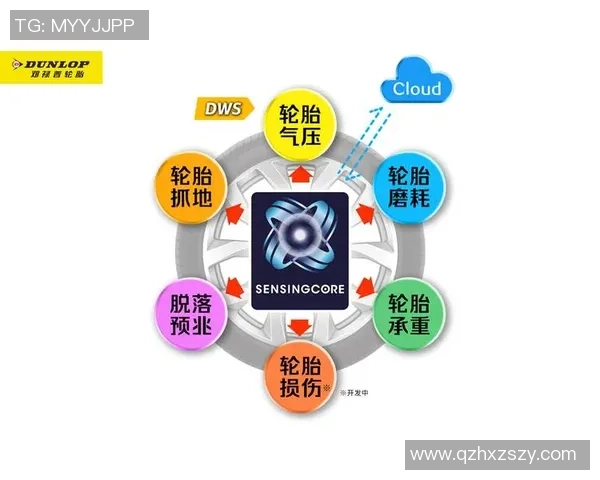 主权云数据存储解决方案：国际组织托管云防范政治干预的创新路径